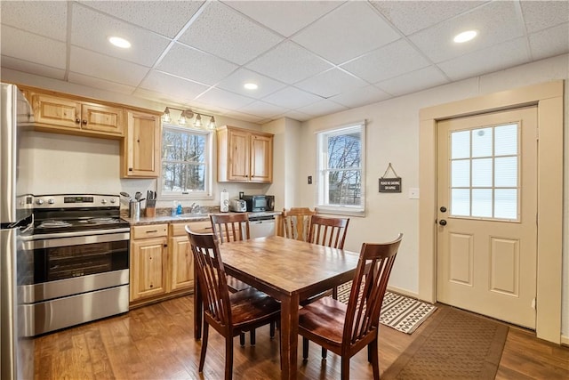 kitchen with sink, wood-type flooring, light brown cabinets, stainless steel appliances, and a drop ceiling