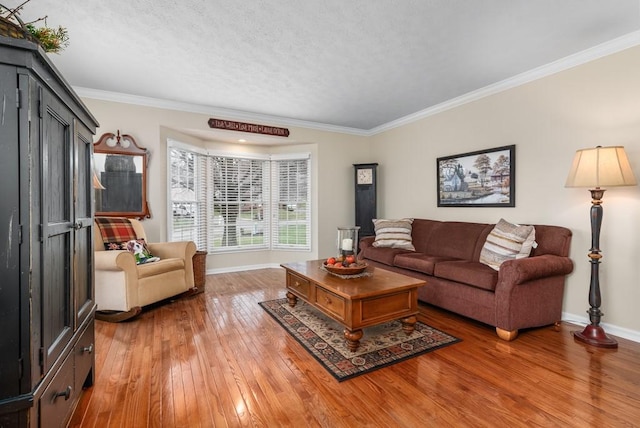 living room featuring ornamental molding, wood-type flooring, and a textured ceiling