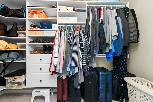 view of walk in closet