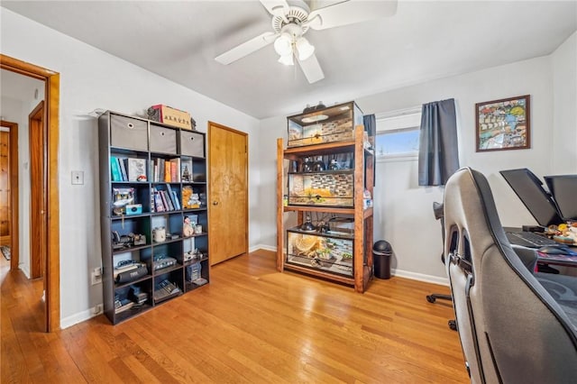 office space featuring ceiling fan and light wood-type flooring