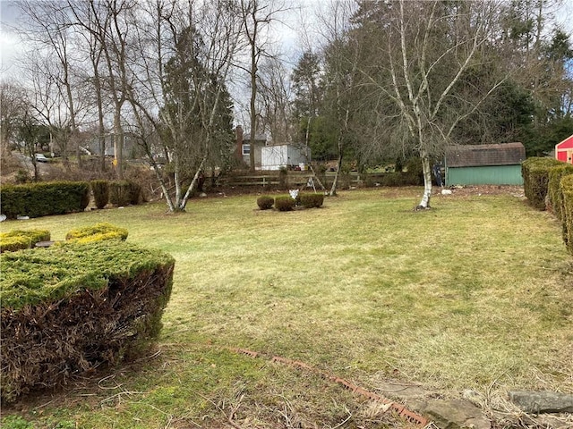 view of yard featuring a storage unit