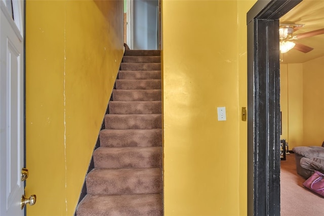 staircase with carpet floors and ceiling fan