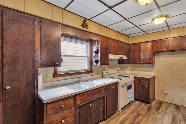 kitchen featuring dark brown cabinetry, sink, hardwood / wood-style flooring, and range with two ovens