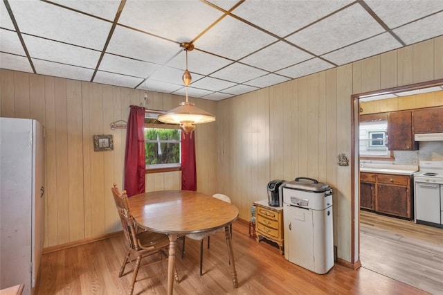 dining space featuring light wood-type flooring