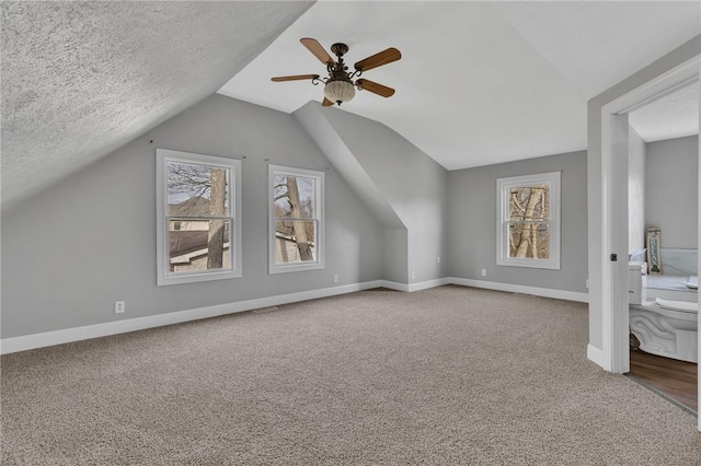 additional living space with carpet floors, vaulted ceiling, a textured ceiling, and plenty of natural light