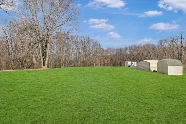 view of yard with a storage shed