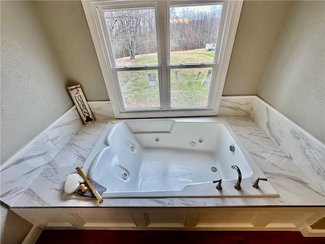 bathroom featuring a bathtub