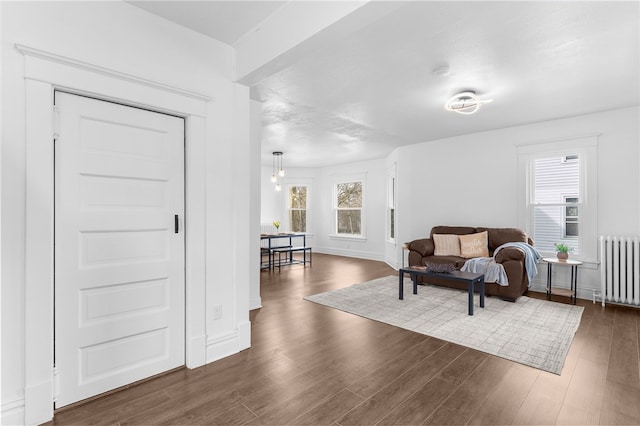 living room featuring radiator heating unit and dark hardwood / wood-style flooring