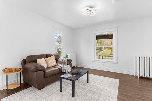 living room featuring hardwood / wood-style flooring and radiator heating unit