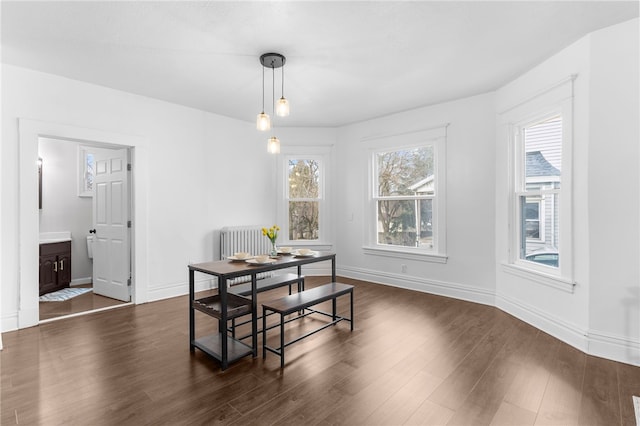 dining space with radiator and dark hardwood / wood-style floors