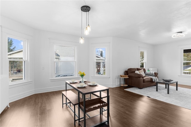 living room featuring dark hardwood / wood-style floors