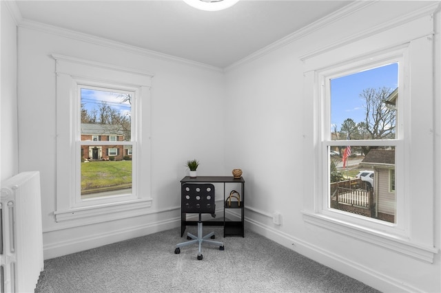 carpeted office featuring ornamental molding and radiator