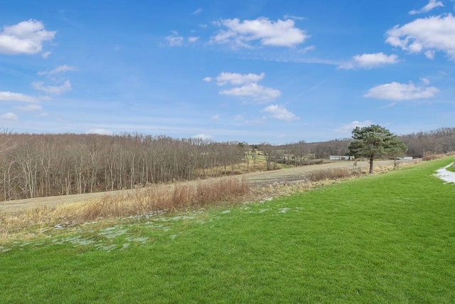 view of yard featuring a rural view