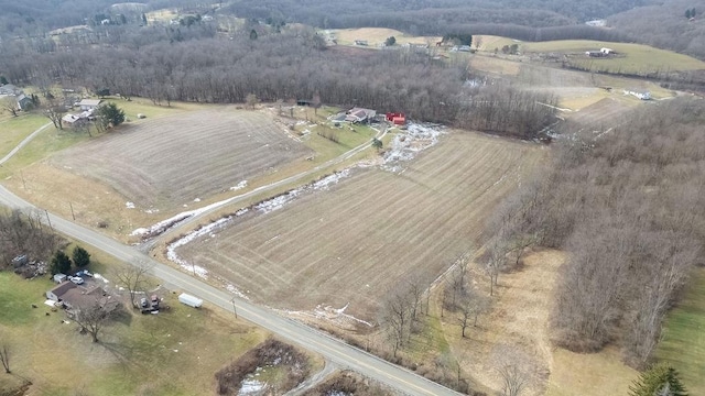 birds eye view of property with a rural view