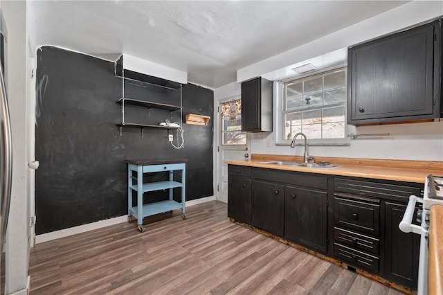 kitchen featuring sink, hardwood / wood-style floors, and range