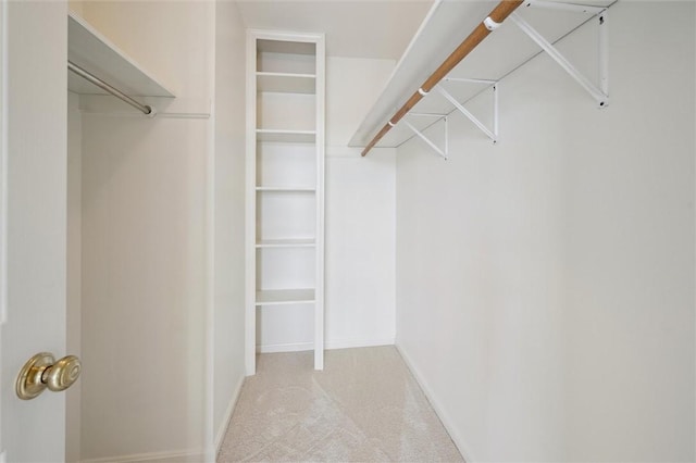 spacious closet featuring light colored carpet