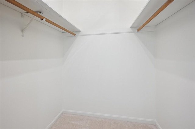 walk in closet featuring carpet floors