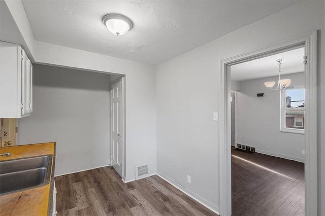 interior space featuring sink and dark wood-type flooring