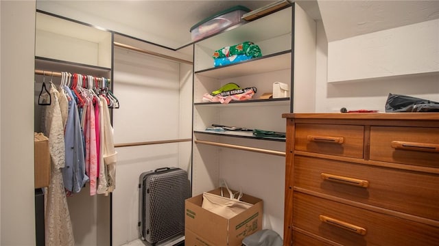 view of spacious closet