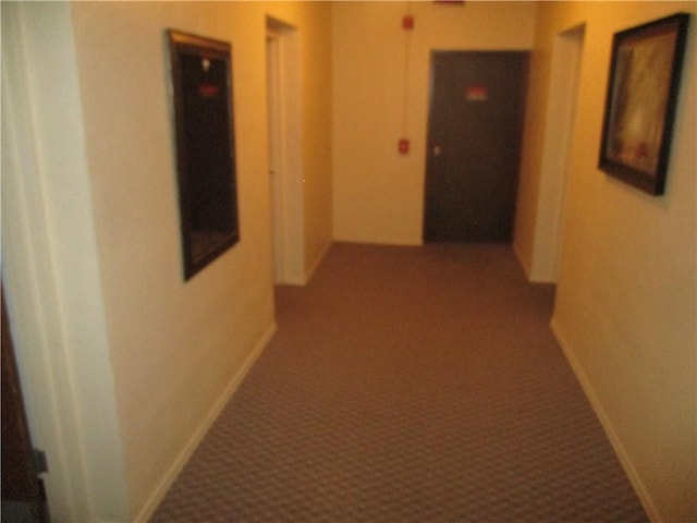 hallway featuring carpet flooring