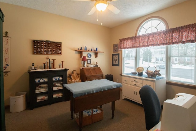 carpeted office space featuring ceiling fan and a textured ceiling