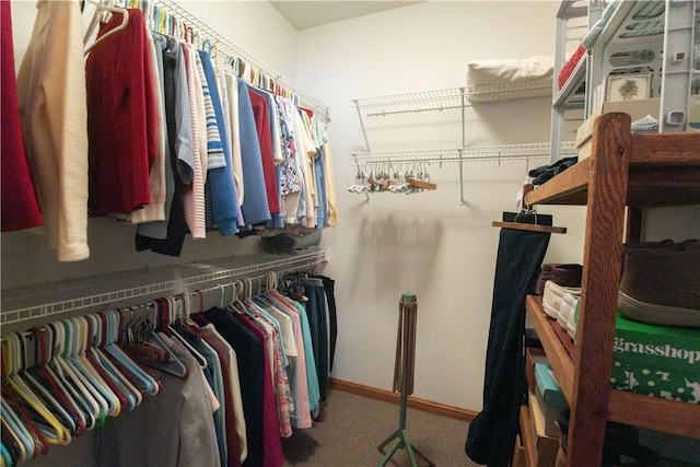 spacious closet with carpet floors