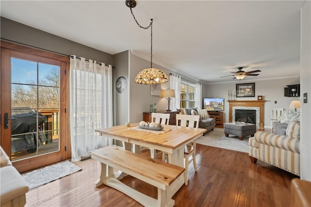 dining area with ornamental molding, dark wood-type flooring, and ceiling fan