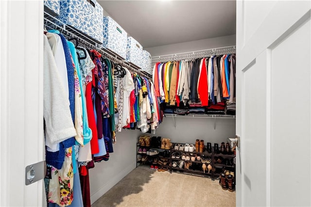 walk in closet with carpet floors