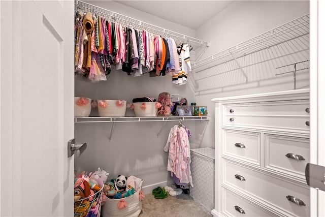 spacious closet featuring carpet