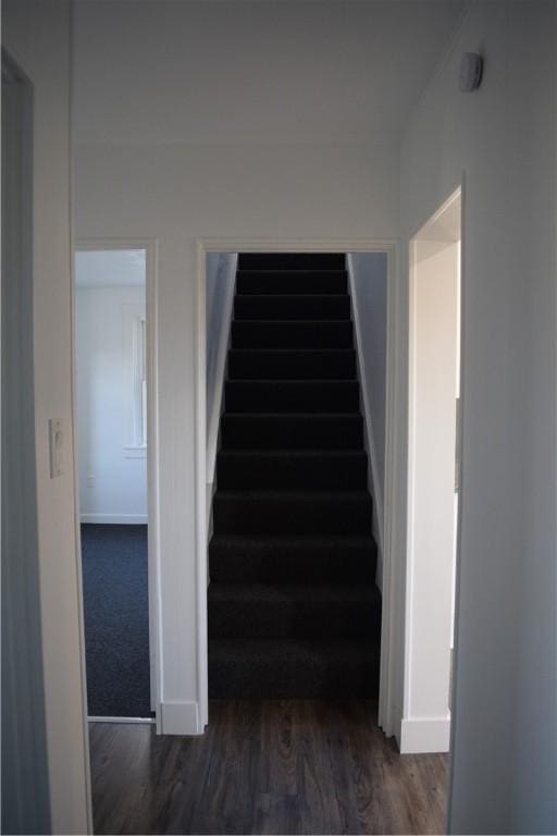 staircase featuring hardwood / wood-style floors