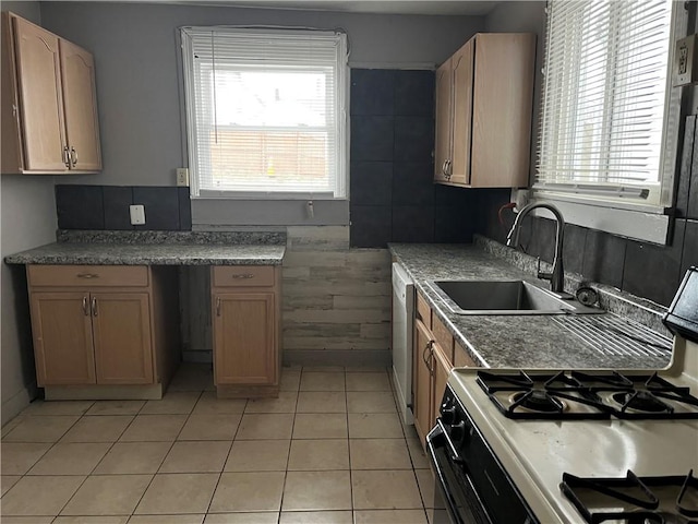 kitchen featuring range with gas stovetop, sink, dishwasher, and a wealth of natural light