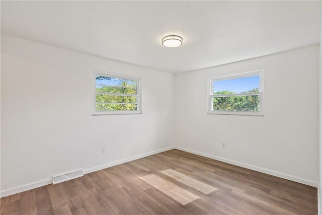 spare room featuring a wealth of natural light and wood-type flooring