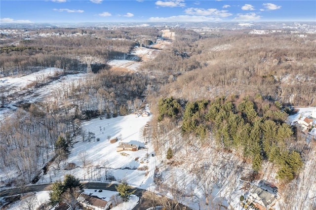 view of snowy aerial view