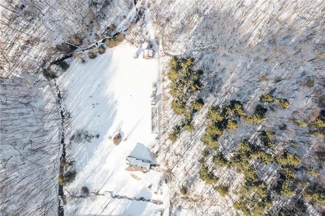 view of snowy aerial view