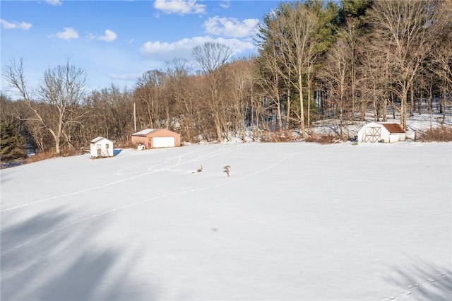 yard covered in snow with a shed and a garage