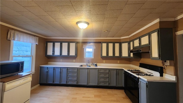 kitchen featuring ornamental molding, sink, gray cabinetry, and range with gas stovetop