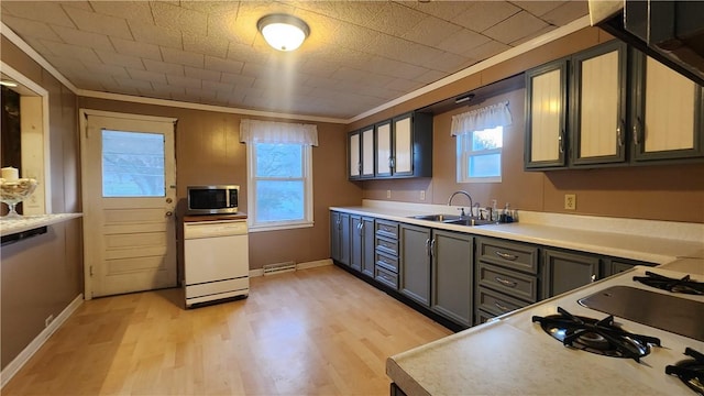 kitchen featuring crown molding, light hardwood / wood-style floors, sink, and gray cabinetry