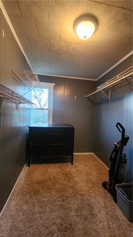 spacious closet featuring carpet flooring