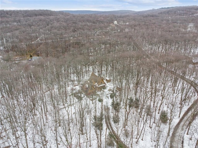 snowy aerial view with a mountain view