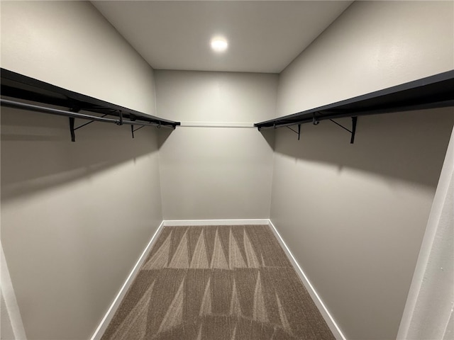 walk in closet featuring carpet flooring