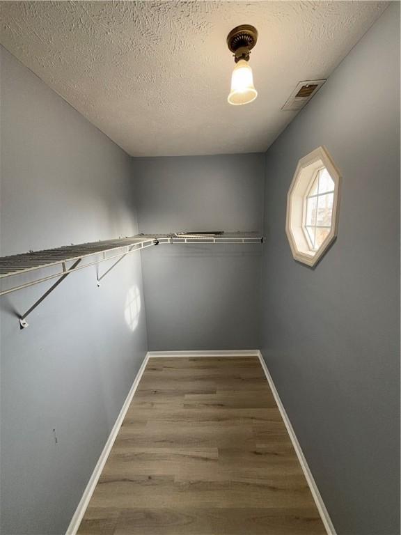 spacious closet featuring wood-type flooring