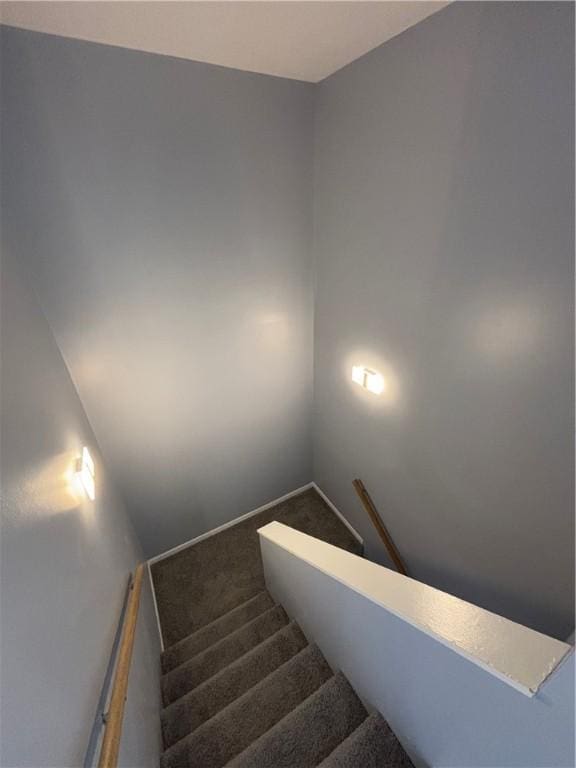 staircase with carpet floors