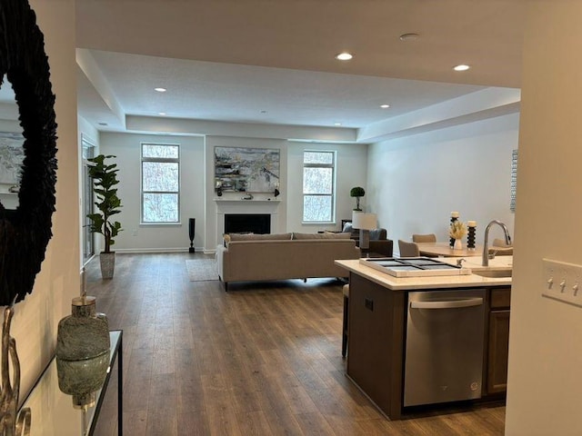 kitchen with dark brown cabinetry, a wealth of natural light, dark wood-type flooring, and dishwasher