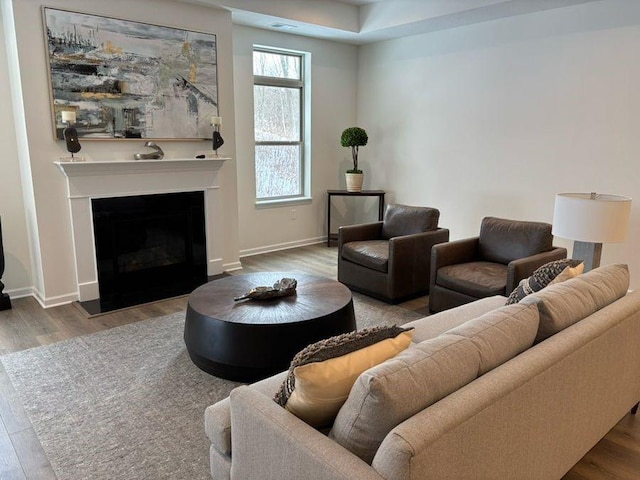 living room with hardwood / wood-style floors