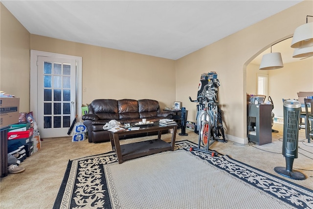 living room featuring light colored carpet