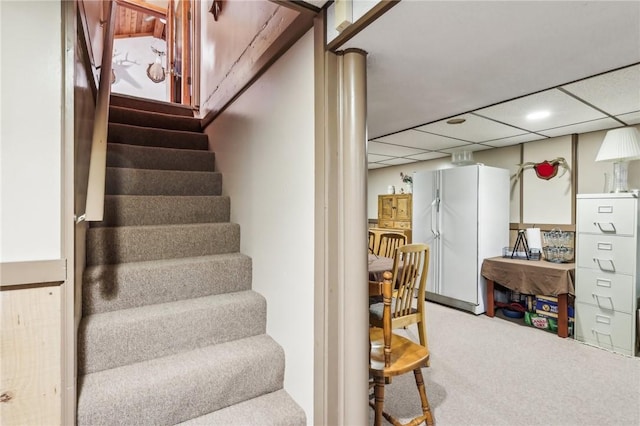 stairs featuring a drop ceiling and carpet flooring