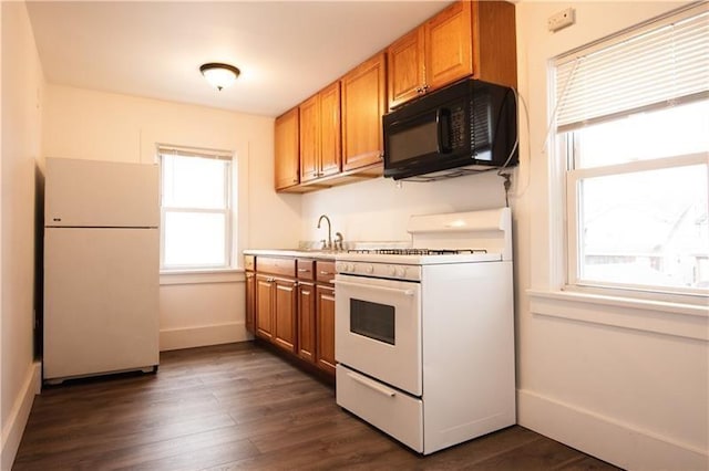 kitchen featuring white appliances, dark hardwood / wood-style floors, and sink