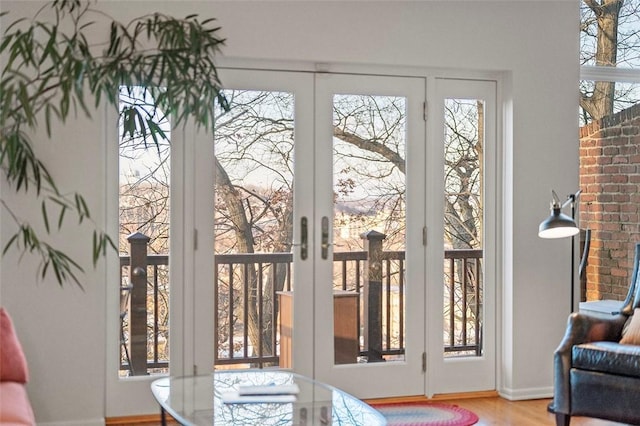 entryway with hardwood / wood-style flooring and french doors