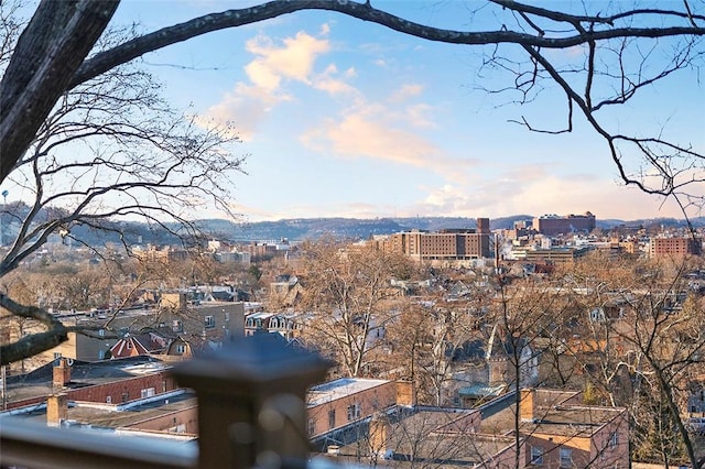 property's view of city