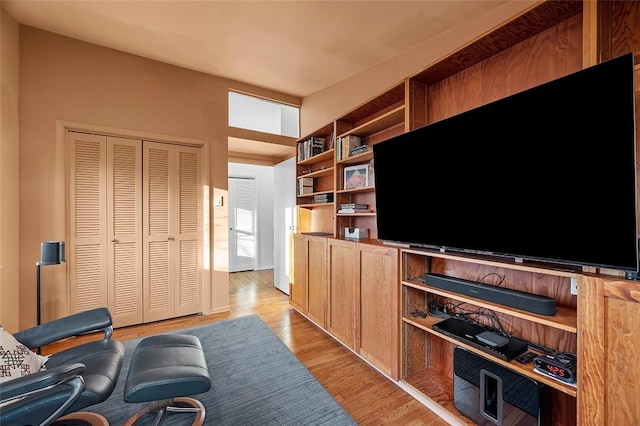 living room featuring light wood-type flooring